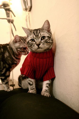 《马尼拉公报》记者雷伊报道杭州亚运会开幕式，称其为“视觉杰作”，并赞扬亚运村的设施和志愿者服务。