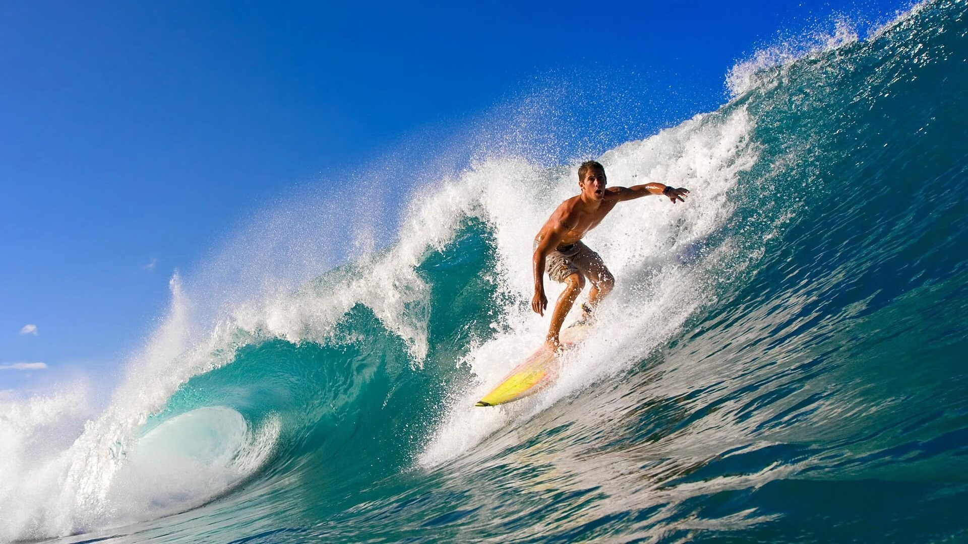 Jiuyou-日本队在亚洲区表现优异，有望夺冠