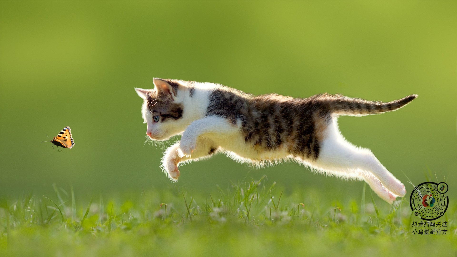 PSV埃因霍温在2023-24赛季以91分夺得荷甲冠军,创下新纪录。,psv埃因霍温女足