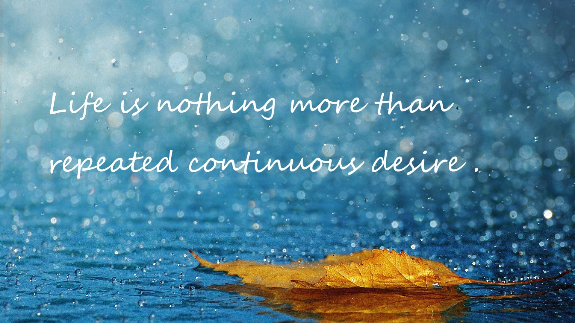 _城市天际线滑索:悬空飙速,惊心动魄_,城市天际线拖拽道路